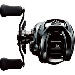 DAIWA 24 Steez SW TW