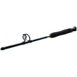 DAIWA BG BIG GAME