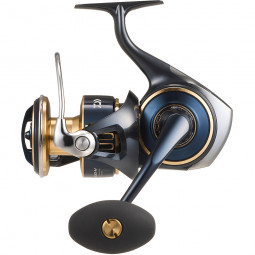 DAIWA 25 SALTIGA (G)